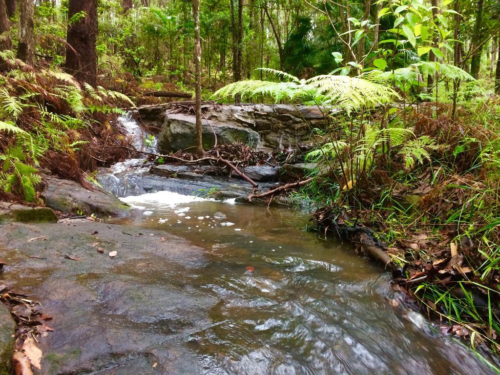 Noosa Hinterland Retreat Apartment Tinbeerwah Luaran gambar